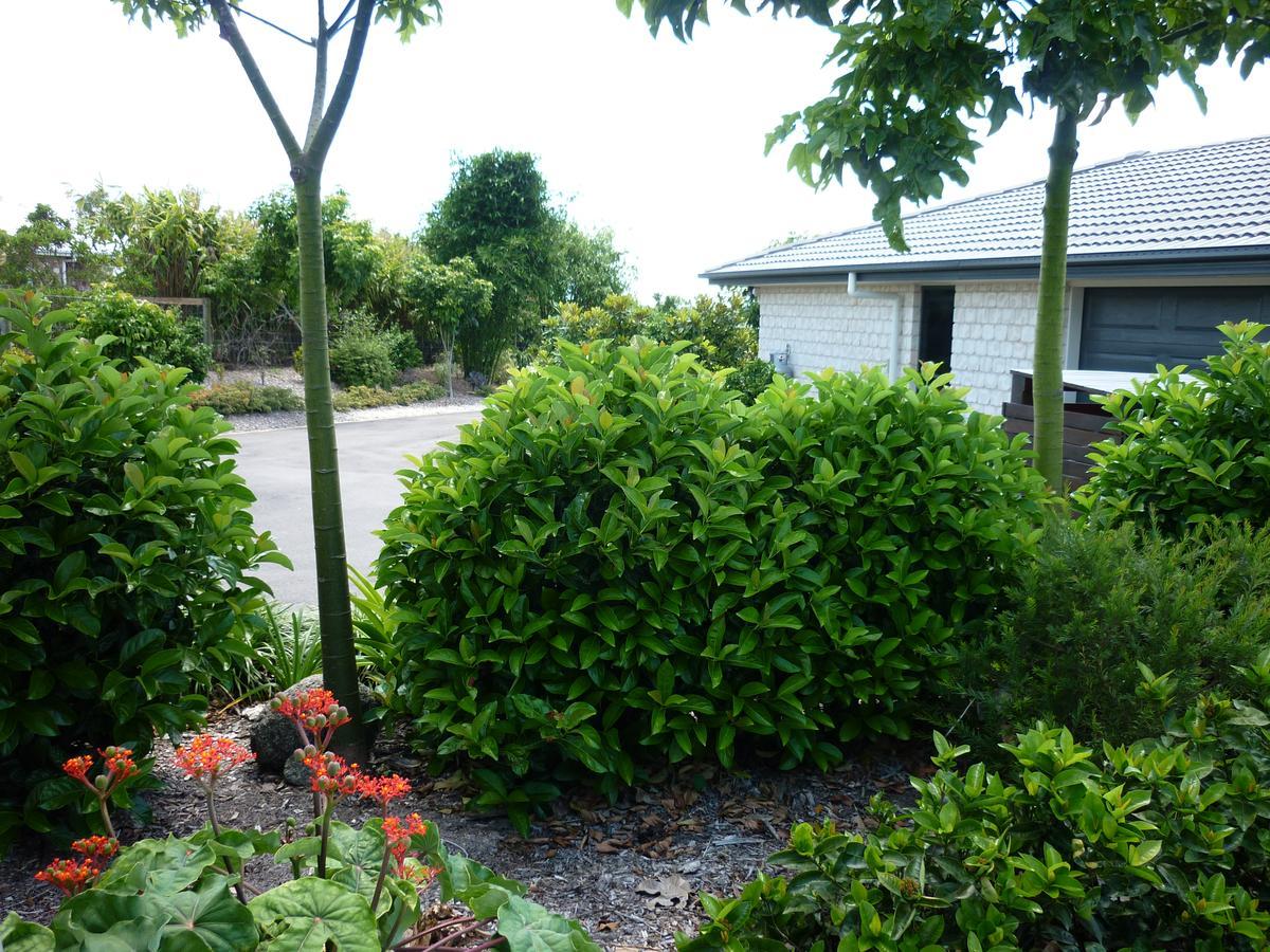 Willowbank Drive Bed & Breakfast Eksteriør bilde